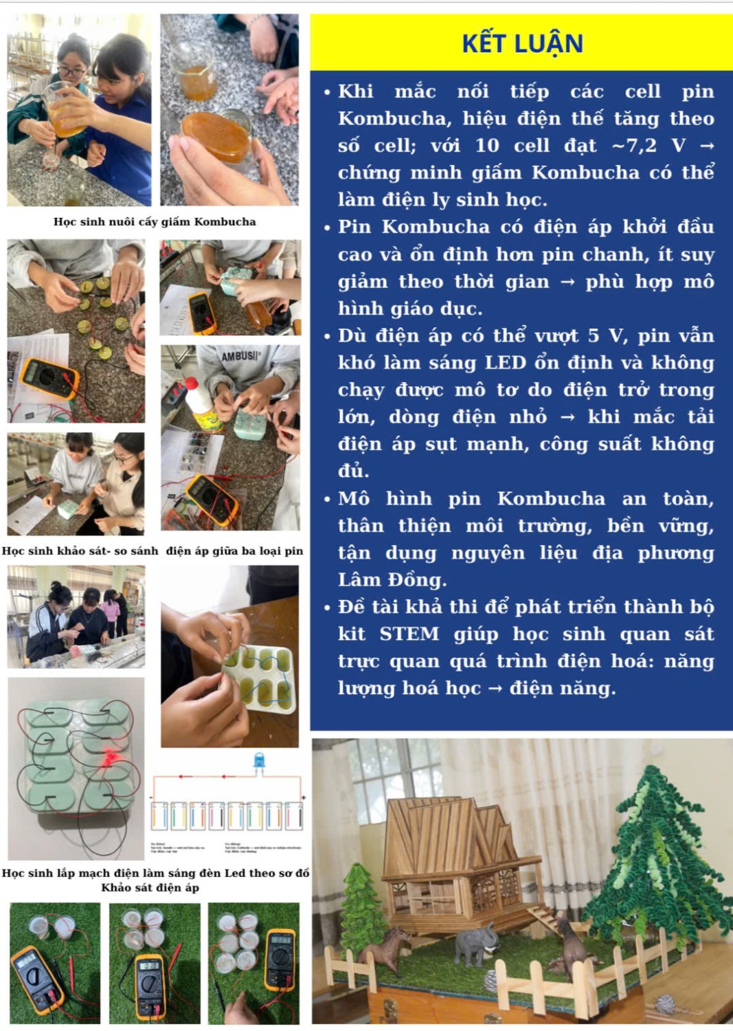 HS thực hiện dự án KHKT